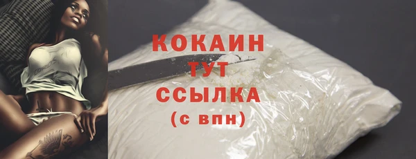 apvp Верея