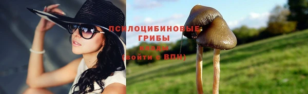 apvp Верея
