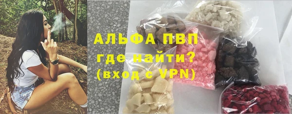apvp Верея