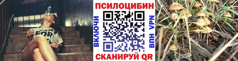 Галлюциногенные грибы GOLDEN TEACHER  дарк нет какой сайт  Набережные Челны 